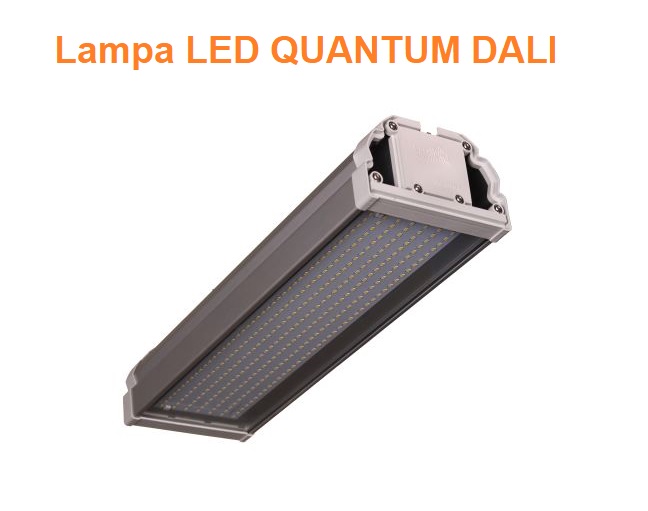 Lampa LED DALI naświetlacz, korpus aluminiowy, lampa LED przemysłowa