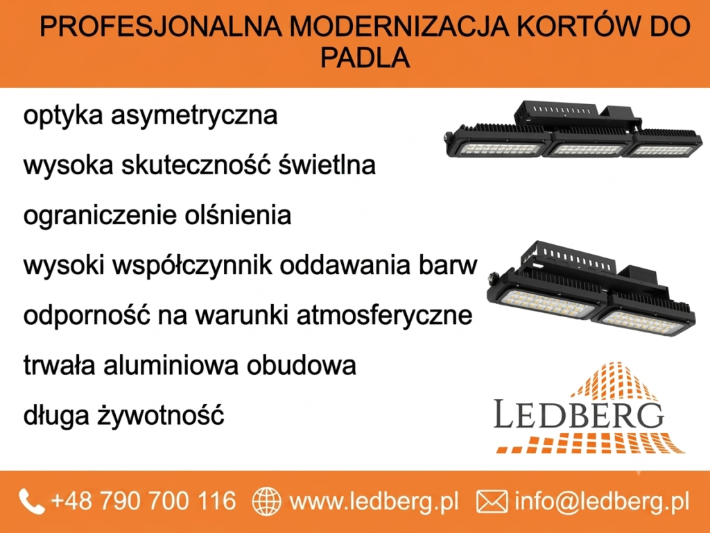 Profesjonalna modernizacja